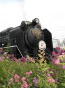 Old steam locomotive, after hauling a special nostalgia train