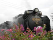 Old steam locomotive, after hauling a special nostalgia train