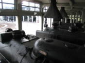 Looking over locomotives in the engine shed