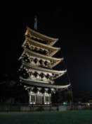 Five Story Pagoda by night