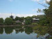 Sarusawa Pond