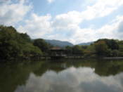 Sagi-ike Pond