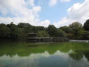 Sagi-ike Pond