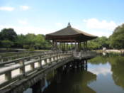 Ukimido on Sagi-ike Pond