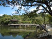 Ukimido on Sagi-ike Pond