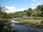 Sagi-ike Pond