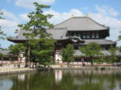 Todai Temple seen accross the pond