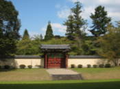 Garen behind Todai Temple