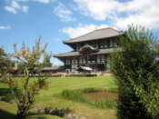 Todai Temple