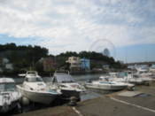 Marina with ferris wheel in the distance