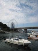 Marina with ferris wheel in the distance