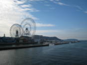 Marina and ferris wheels