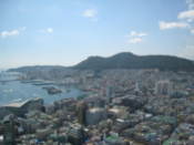 View from Busan Tower