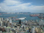 View from Busan Tower