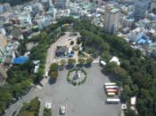 View from Busan Tower