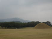 In Wolseong Park