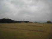 In Wolseong Park