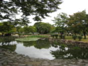 Pond in the Tumuli Park