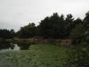 Anapji Pond