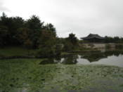 Reconstructed buildings by Anapji Pond