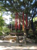 Prayers hanging from trees