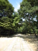Grounds of Jongmyo Shrine