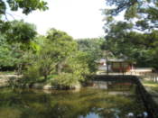 Pond at Jongmyo Shrine
