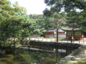 Pond at Jongmyo Shrine