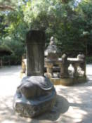 In the grounds of Changgyeonggung Palace