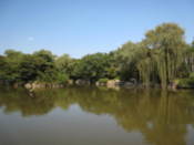 Chundangji Ponds at Changgyeonggung Palace