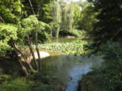 Chundangji Ponds at Changgyeonggung Palace