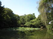 Chundangji Ponds at Changgyeonggung Palace