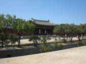 In the grounds of Changgyeonggung Palace