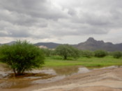 This area is virtually never wet, but a lot of rain changed that