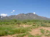 Looking towards the Kitt Peak
