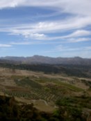 Fields and mountains