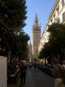 The cathedral