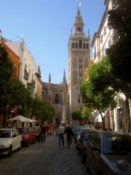 The cathedral again