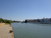 Looking along the river