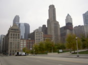 Looking towards buildings on Michigan Avenue