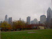 The green and the grey