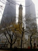 Water tower through the trees