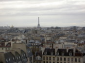 Looking towards The Tower