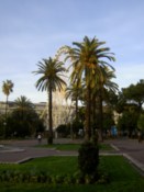 The park again