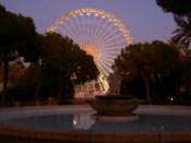 The ferris wheel by night
