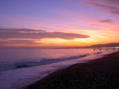 The sunset colours the sea