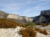 More nice plants and rock formations