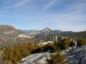 ...and distant hills behind them.