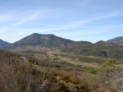 A similar shot