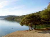 From the lake shores